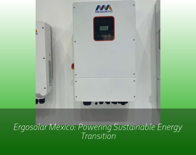 Ergosolar Mexico: Powering Sustainable Energy Transition